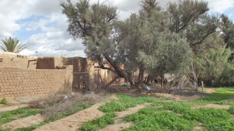 https://www.immotaroudant.com/bien/maison-taroudant-a-vendre-m12440/