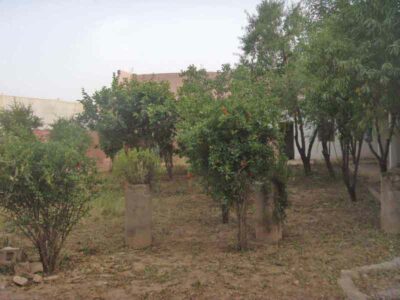 https://www.immotaroudant.com/bien/maison-a-taroudant-m13375/