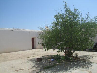 https://www.immotaroudant.com/bien/vente-maison-a-taroudan-m13991/