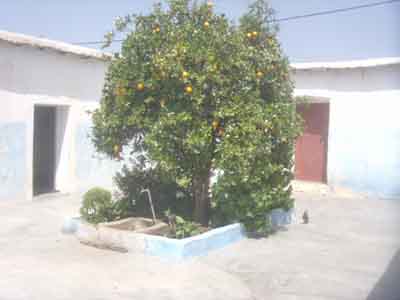 https://www.immotaroudant.com/bien/maison-a-taroudant-a-vendre-m13745/