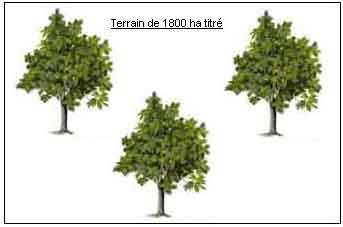 https://www.immotaroudant.com/bien/terrain-agricole-de-1800ha-t13592/