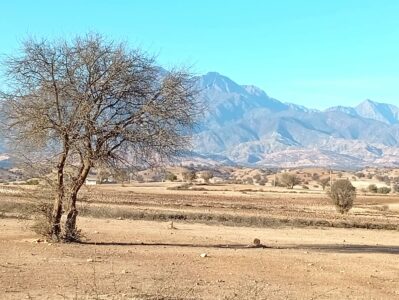 https://www.immotaroudant.com/bien/terrain-vue-panoramique-sur-le-haut-atlas/